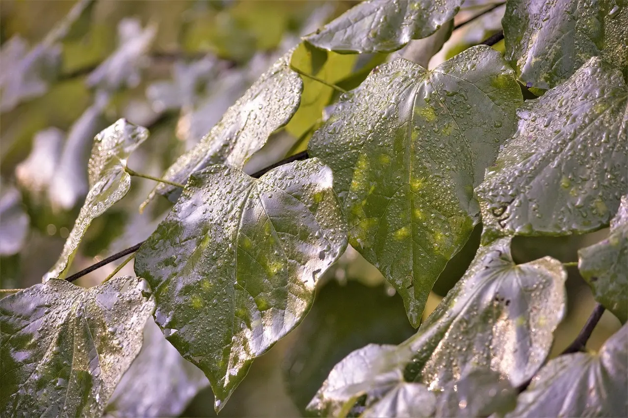 Hyggebelysning: Sådan skaber du det perfekte lys i stue og soveværelse